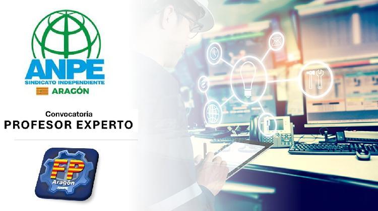 expertos-profesor-experto-persona-experta